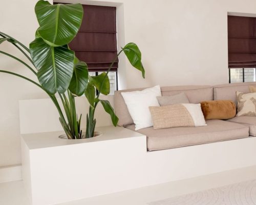 JJO_6651-e1736850681600-995x995-2